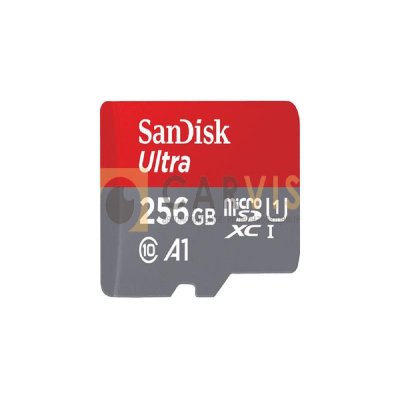 Карта памяти micro SD 256 Гб - ООО "Где Авто"